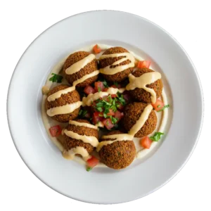 FLAFEL SPRING hot appetizer